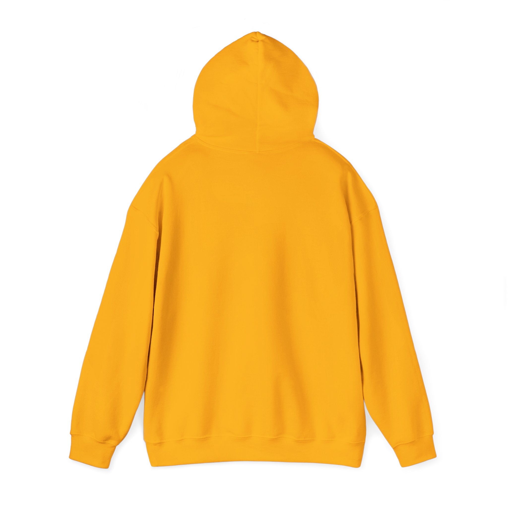 Recovery Cartel Hoodie — Retro Neon print