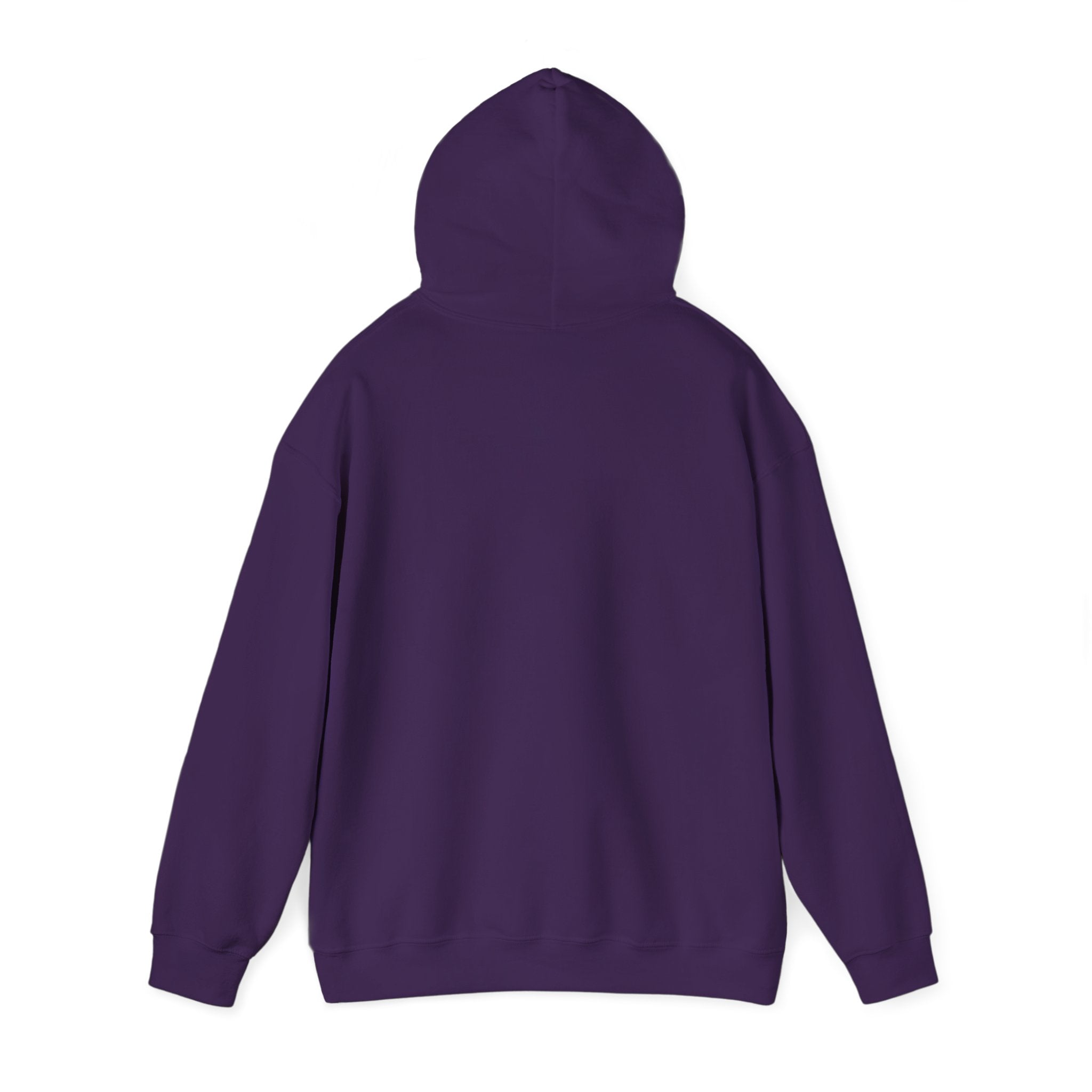 Recovery Cartel Hoodie — Retro Neon print